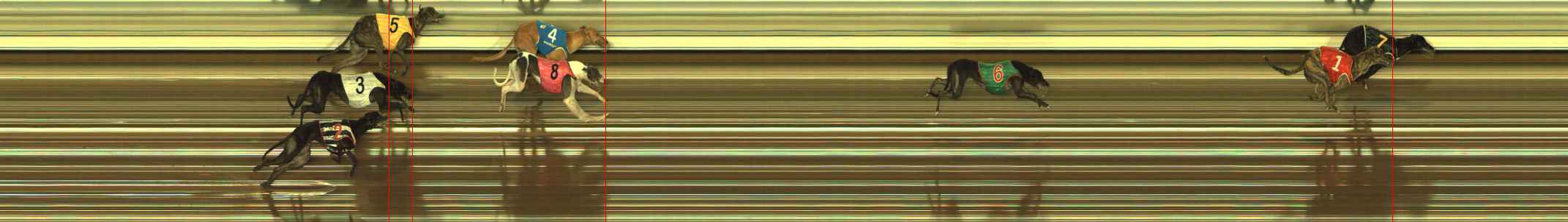 Race result finish photo